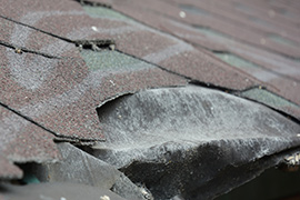 Shingle Roof Repair